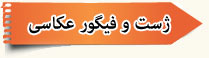 ژست و فیگور عکاسی