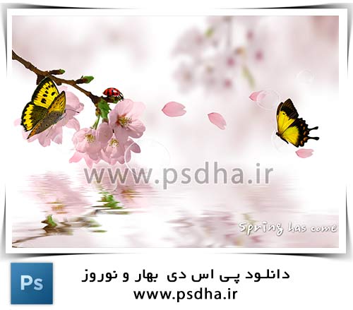 بک گراند پی اس دی بهار