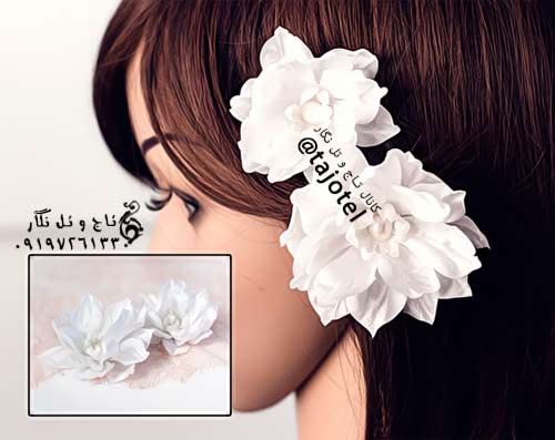 تاج عروس و مجلسی