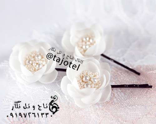 تاج عروس و مجلسی