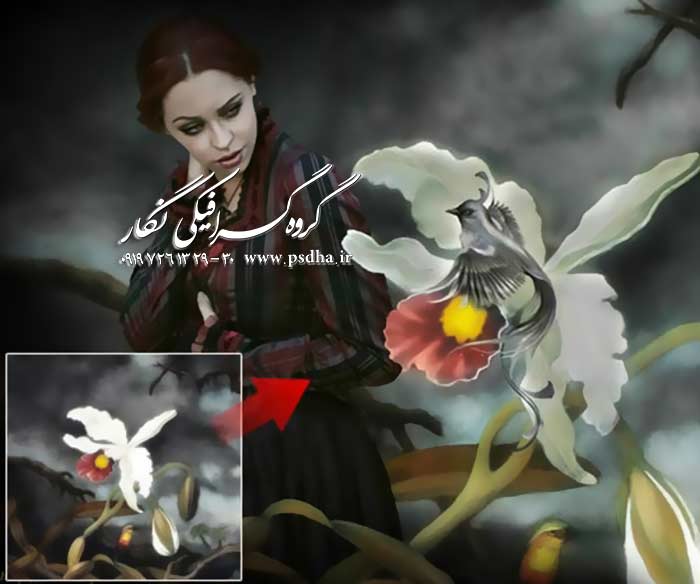 بک گراند عکس برای فتوشاپ