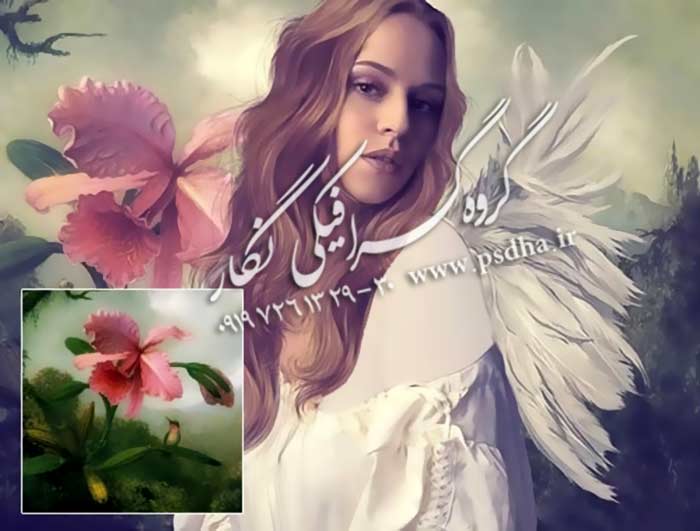 بک گراند عکس برای فتوشاپ