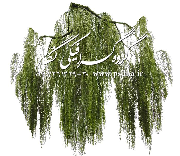 دانلود رایگان تنه درخت دور بر شده