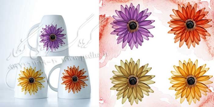 دانلود نقش و نگار لایه باز برای طراحی ظرف