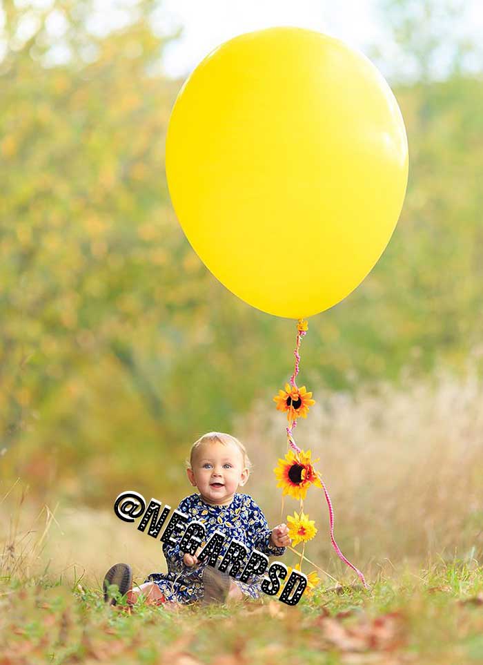 دانلود بکگراند بادکنک و سبد در طبیعت 