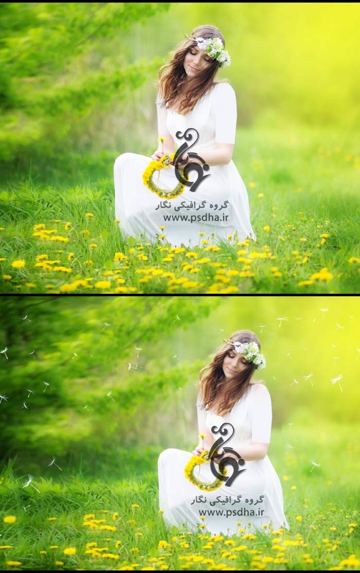 دانلود افکت قاصدک و افکت پر معلق