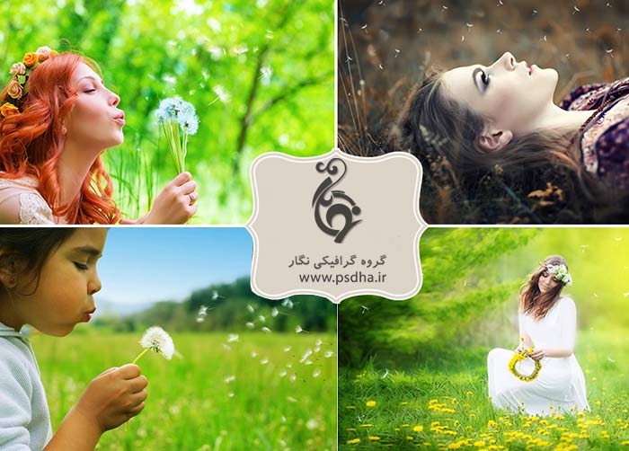 دانلود افکت قاصدک و افکت پر معلق