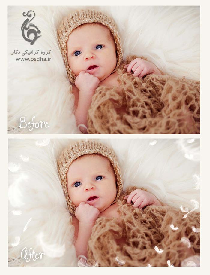 دانلود افکت قاصدک و افکت پر معلق