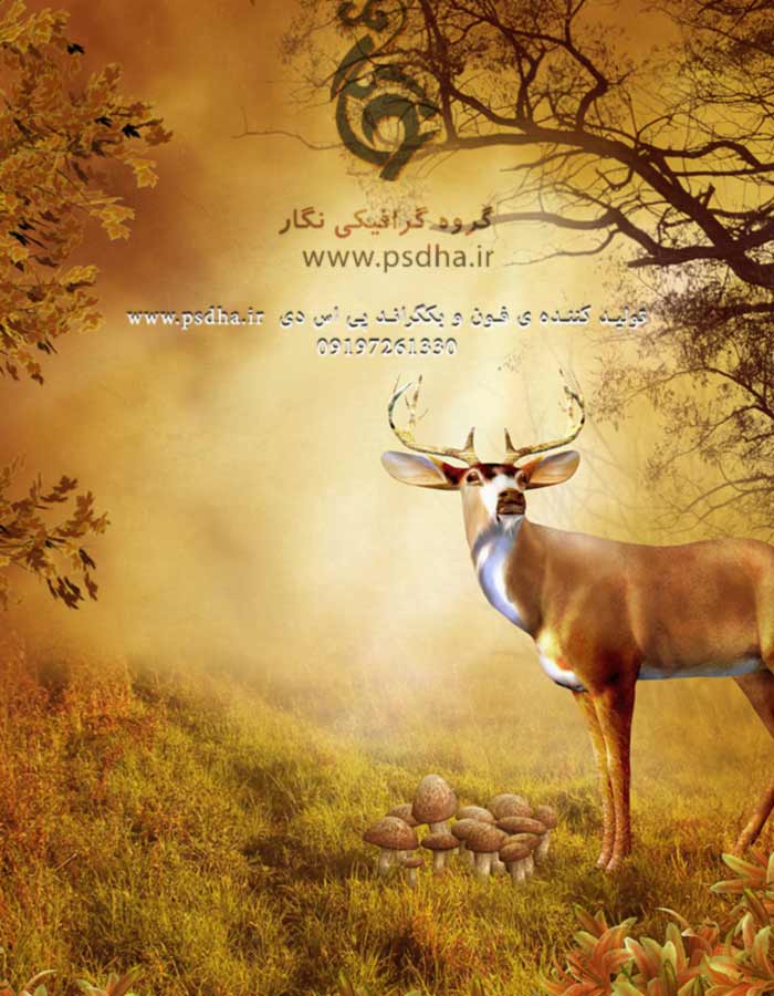 دانلود بک گراند برای فتوشاپ با کیفیت عالی