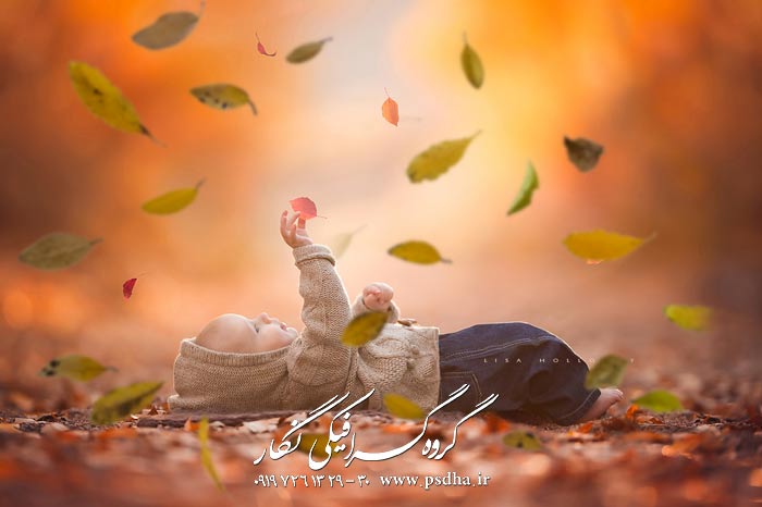 دانلود افکت برگ ریزان پاییز بصورت png