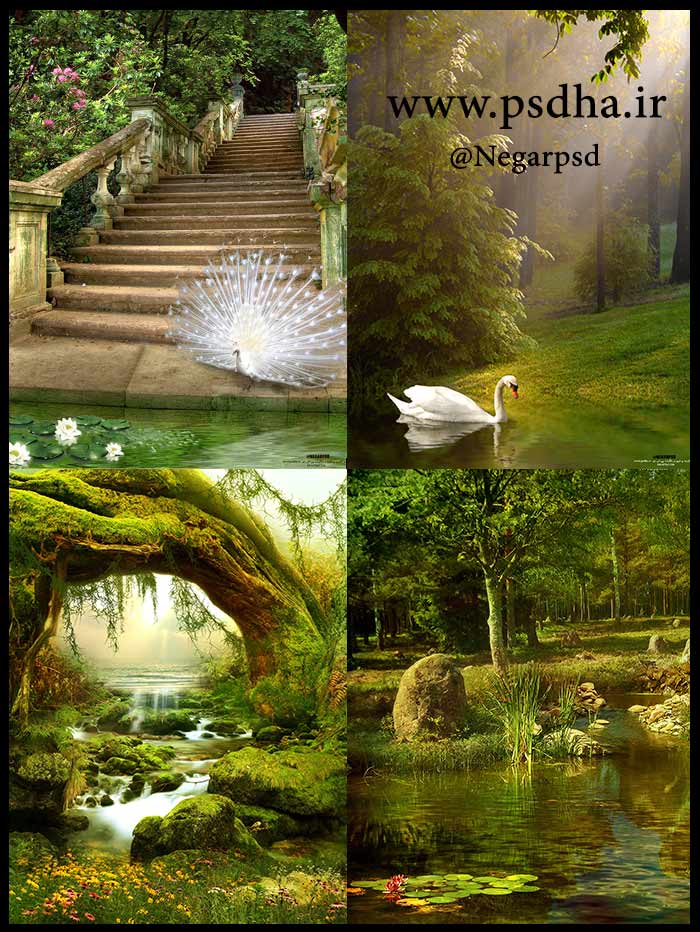 دانلود رایگان بک گراند باغ و منظره