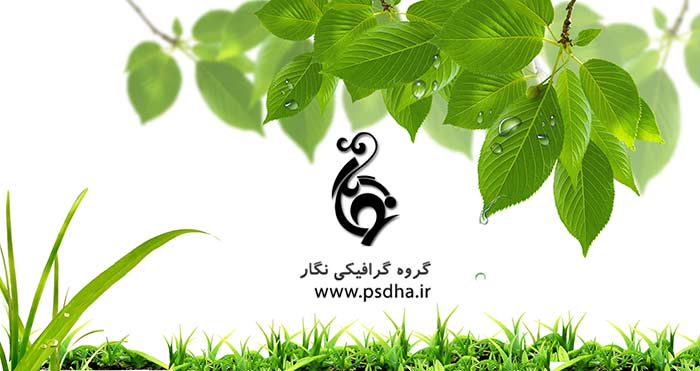 دانلود لایه باز گل و سبزه برای طراحی