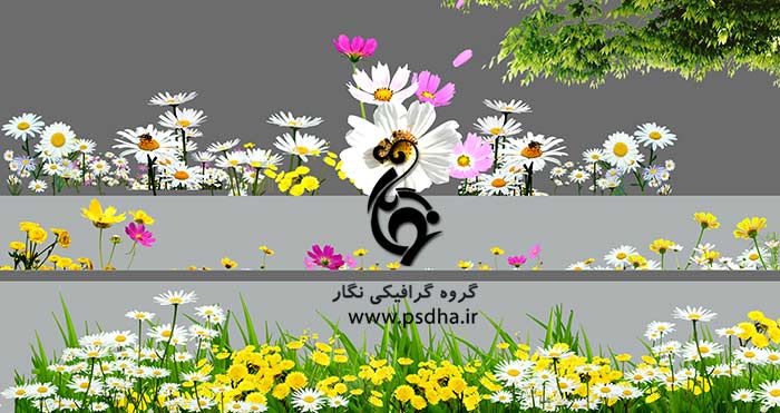 دانلود لایه باز گل و سبزه برای طراحی