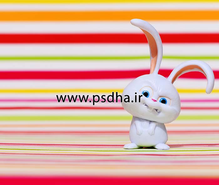 بک گراند دکور آتلیه با عروسک های مختلف