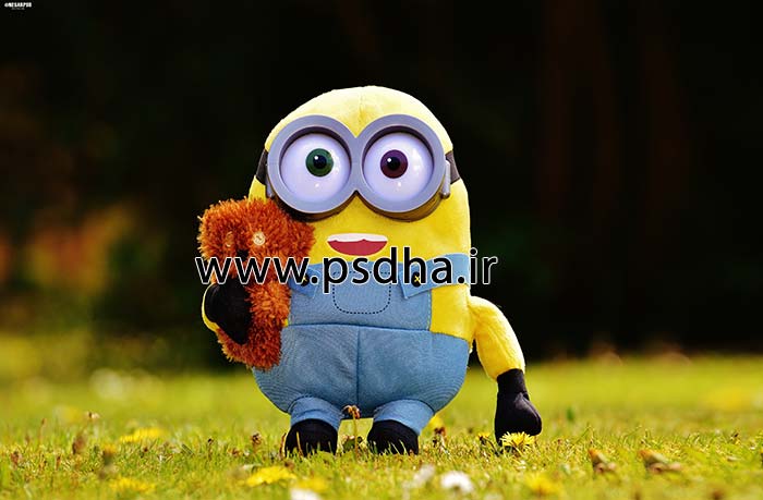 بک گراند دکور آتلیه با عروسک های مختلف