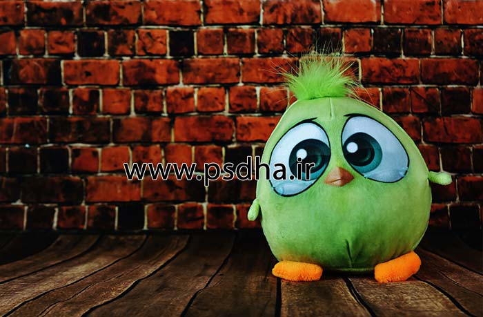 بک گراند دکور آتلیه با عروسک های مختلف