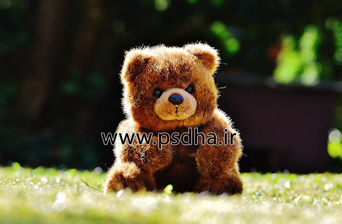 بک گراند دکور آتلیه با عروسک های مختلف