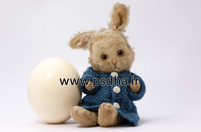 بک گراند دکور آتلیه با عروسک های مختلف