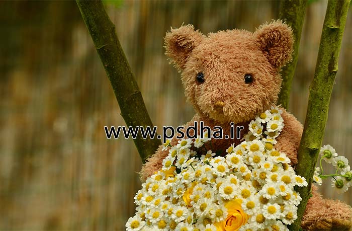 بک گراند دکور آتلیه با عروسک های مختلف