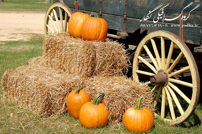 دانلود بک گراند سنتی و روستایی با کیفیت