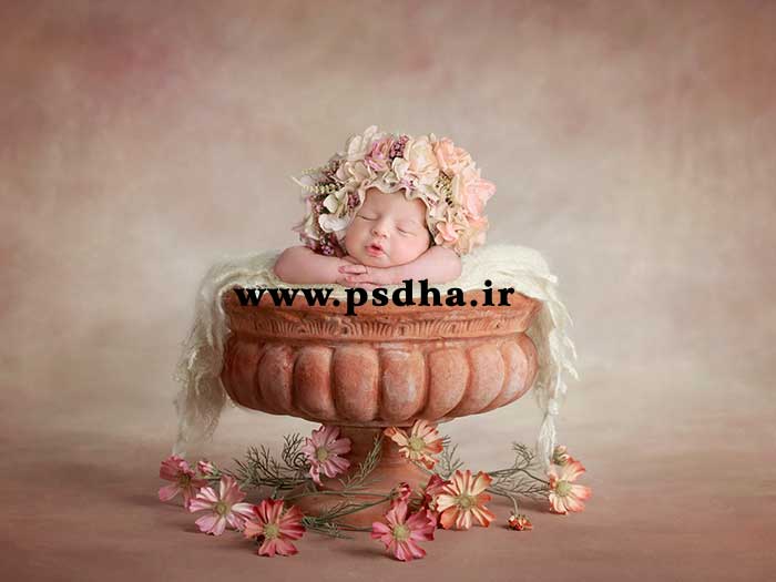 دانلود بک دراپ سبد گل نوزاد