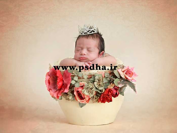 دانلود بک دراپ سبد گل نوزاد