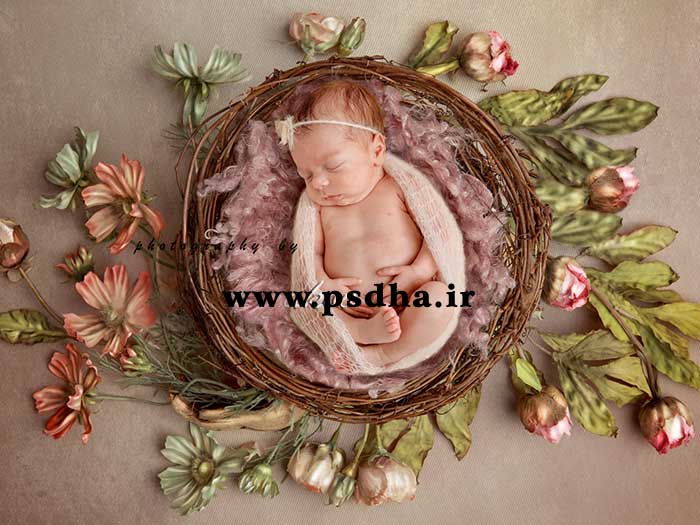دانلود بک دراپ سبد گل نوزاد