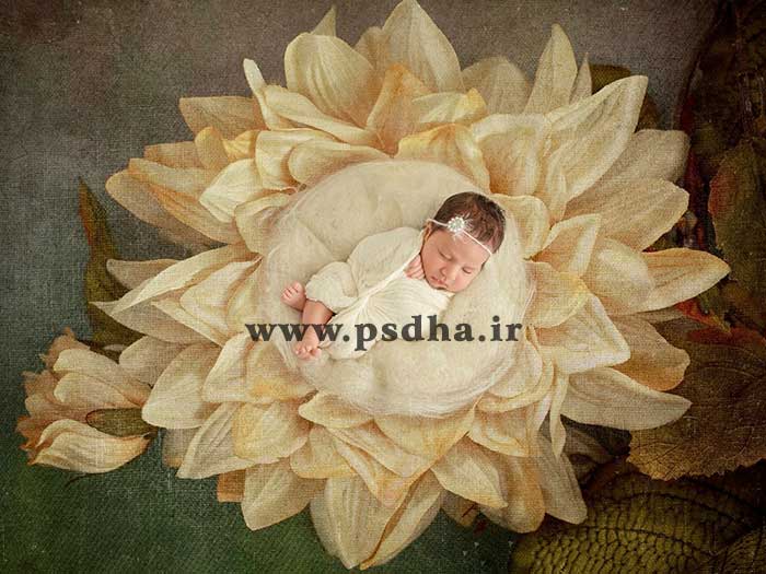 دانلود بک دراپ نوزاد