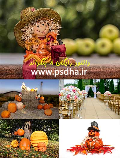 دانلود بک گراند آتلیه پاییز ، کدو ، برگ پاییزی
