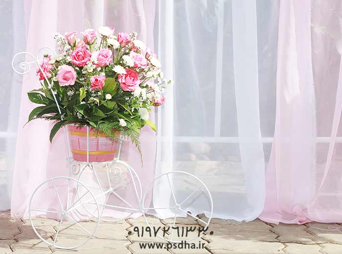 دانلود بک گراند نوروز و بهار