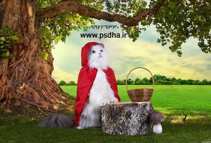 دانلود بکگراند عکس آتلیه ای با کیفیت