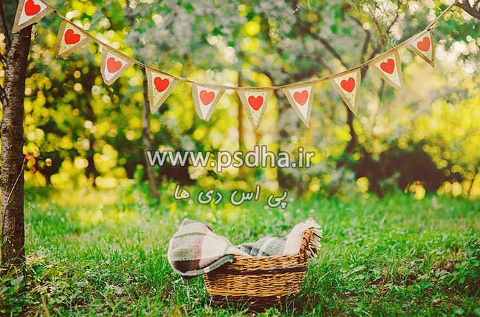 دانلود بک گراند باغ برای طراحی عکس کودک