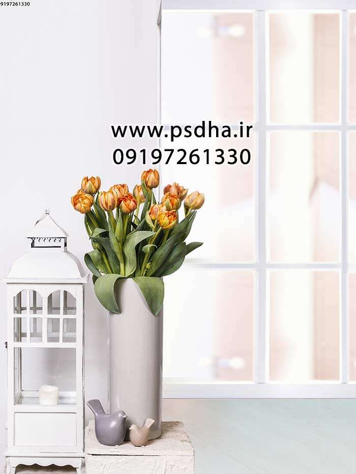 دانلود بکگراند برای طراحی عکس