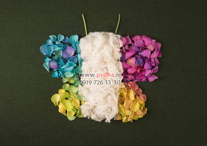 دانلود بک دراپ سبد نوزاد