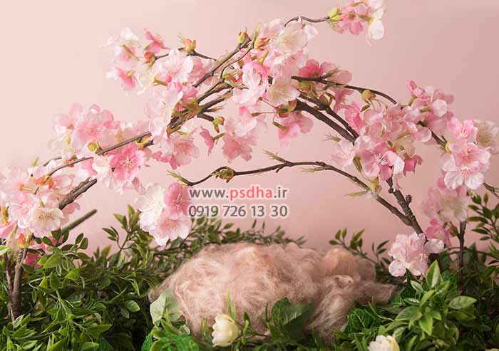 دانلود بک دراپ سبد نوزاد