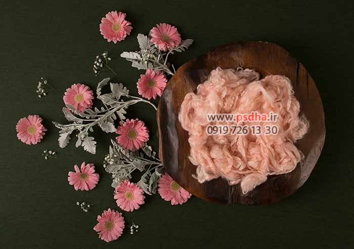 دانلود بک دراپ سبد نوزاد