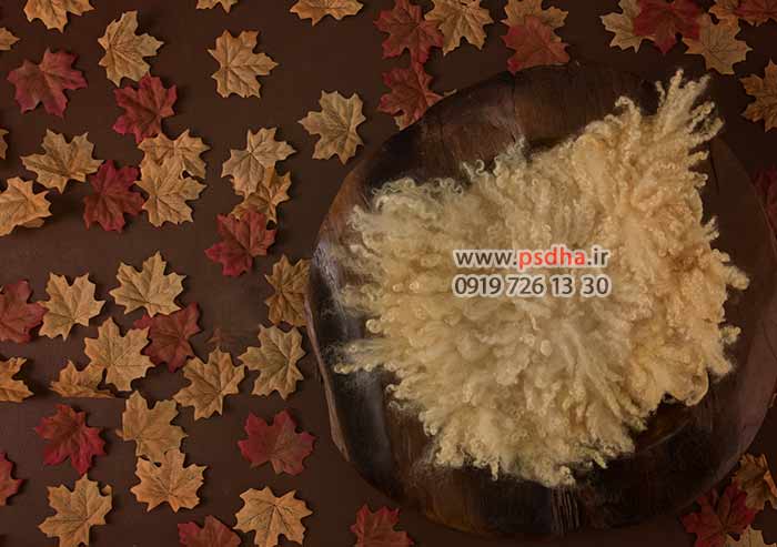 دانلود بک دراپ سبد نوزاد