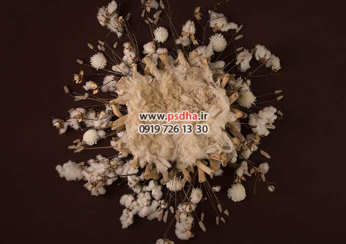 دانلود بک دراپ سبد نوزاد