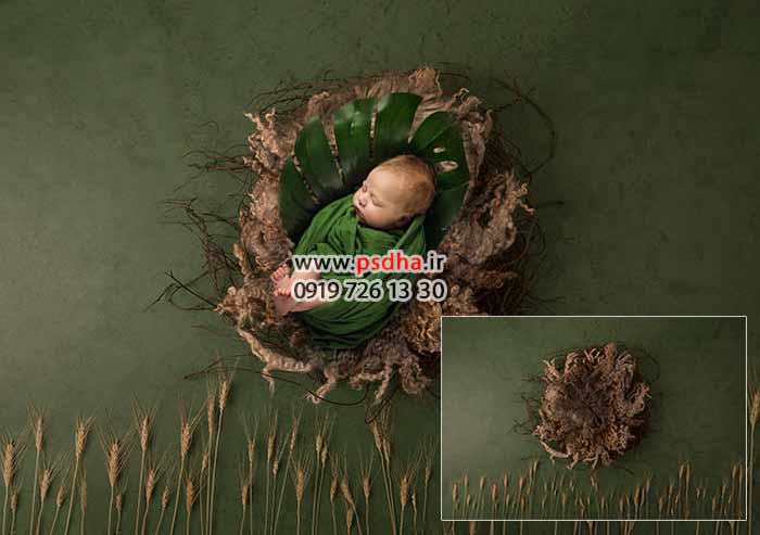 دانلود بک دراپ سبد نوزاد