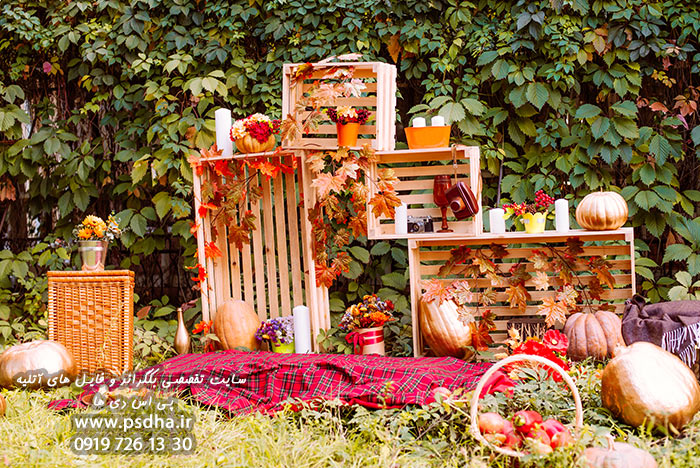 بک گراند پاییزی دیجیتال برای طراحی عکس