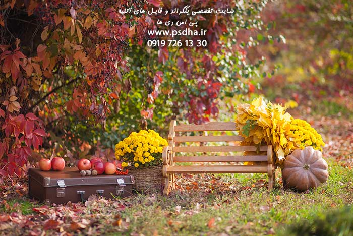 بک گراند پاییزی دیجیتال برای طراحی عکس