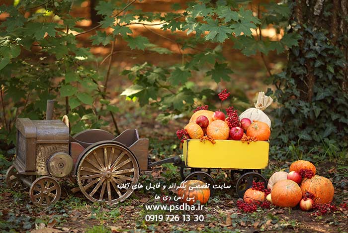 بک گراند پاییزی دیجیتال برای طراحی عکس