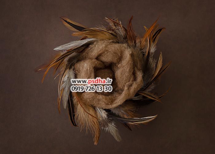 دانلود بک دراپ نوزاد