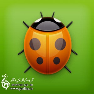 فایل لایه باز کفشدوزک