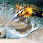 فایل لایه باز پری دریایی