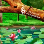 طرح psd نیلوفر آبی