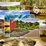 والپیپر های زیبا از طبیعت برای دسکتاپ