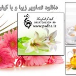 تصاویر با کیفیت گل های زیبا