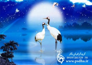 طرح پی اس دی لک لک ها