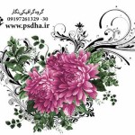 فایل لایه باز گل و بوته رنگی پی اس دی